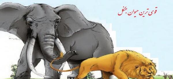 عکس حیوان قوی