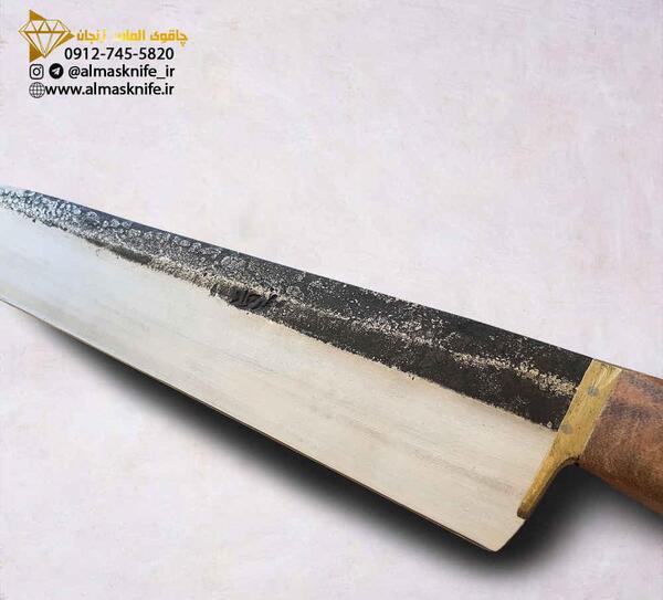 عکس جوجه چاقو کش