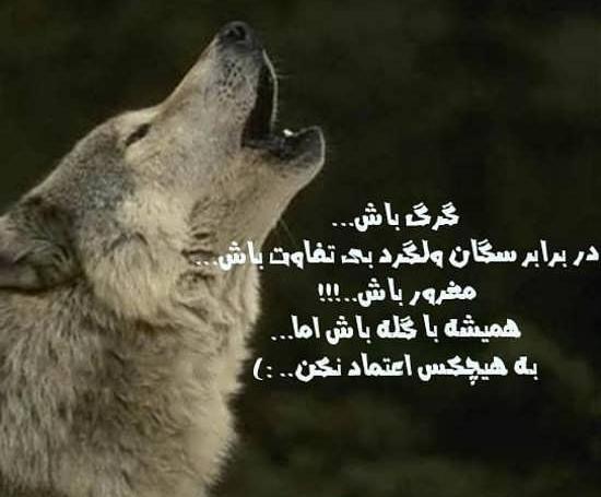 عکس پروفایل قوی شدن
