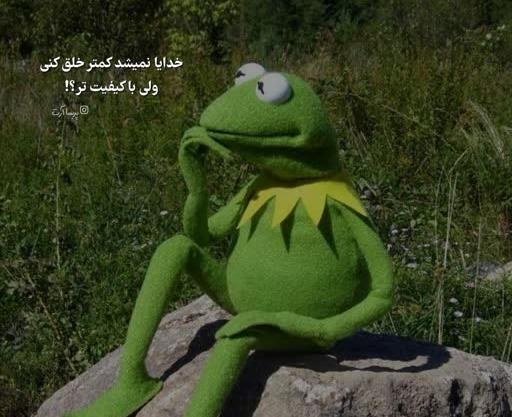عکس پروفایل قورباغه سبز