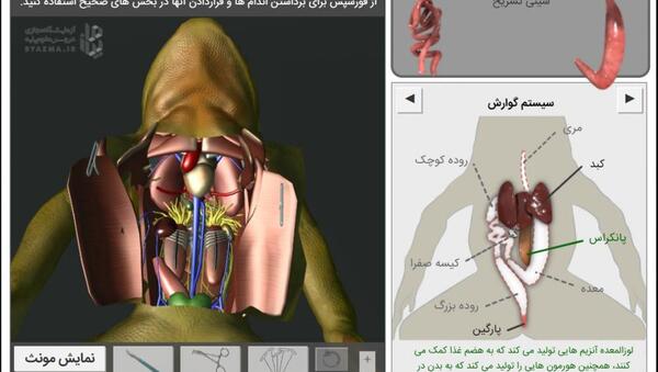 عکس رد پای قورباغه