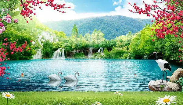 قوهاي عاشق عکس قو برای پروفایل