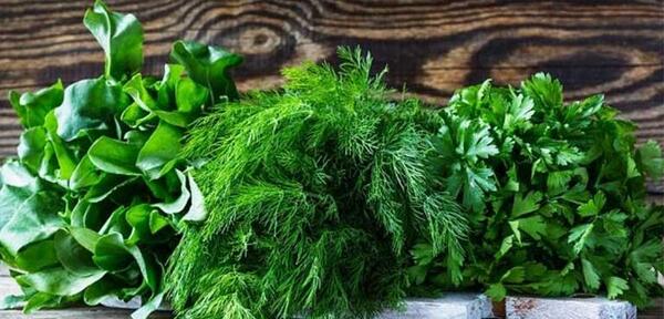 عکس انواع قورمه سبزی