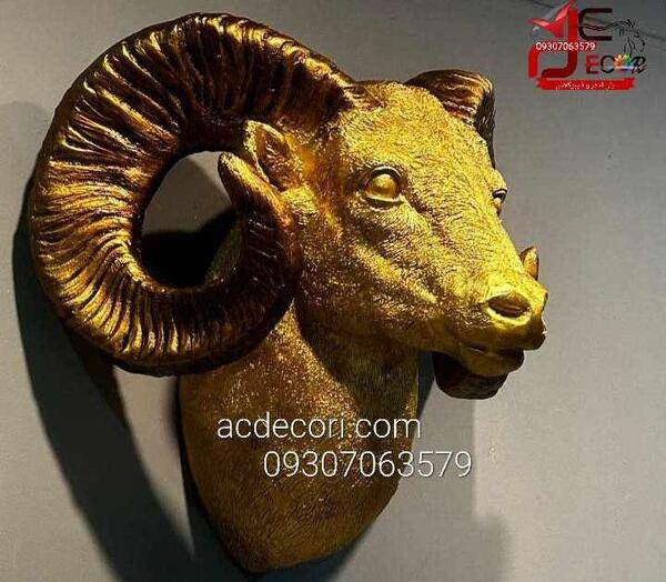 عکس انواع قوچ