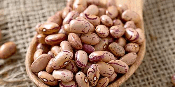 عکس قورمه سبزی با لوبیا قرمز