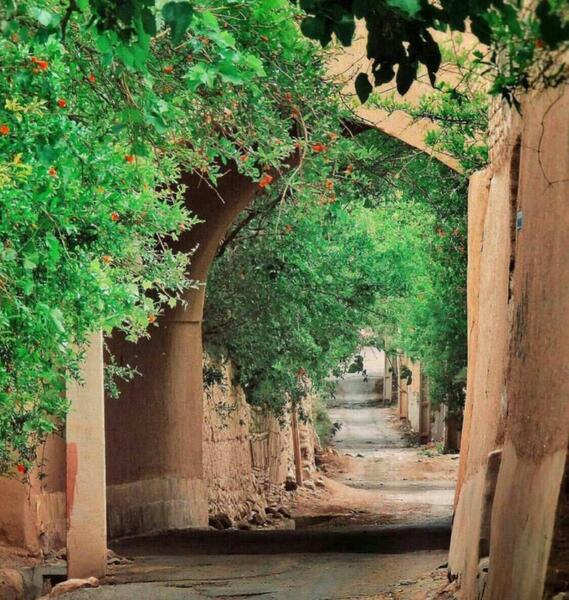 عکس کوچه های قدیمی یزد