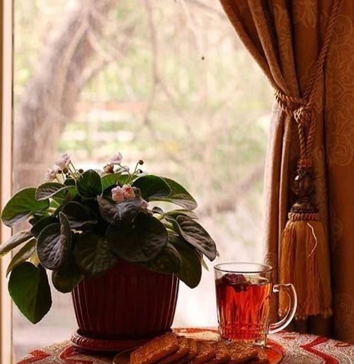 عکس خانه های قدیمی قشنگ