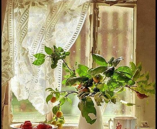 عکس های قدیمی از طبیعت