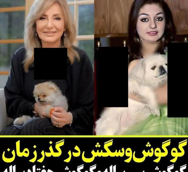 دانلود عکس های قدیمی گوگوش