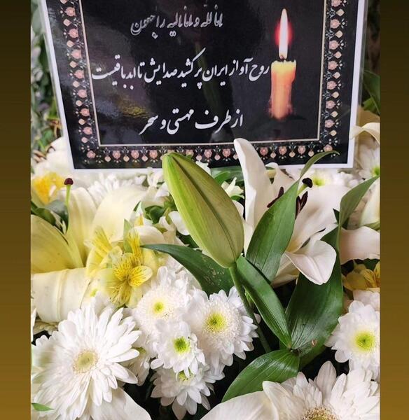 عکس قبر مهستی خواننده