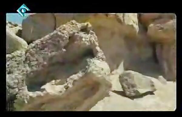 عکس قبر حرمله کجاست