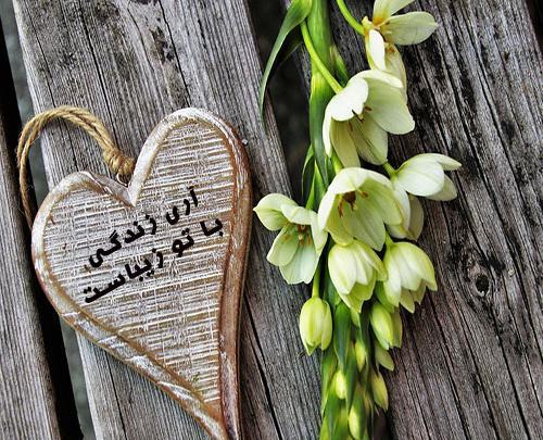 عکس پروفایل قلب و گل عاشقانه