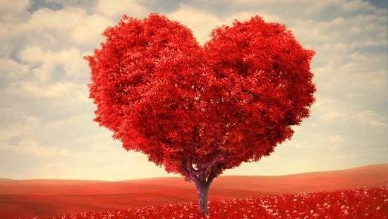 عکس پروفایل قلب و گل عاشقانه
