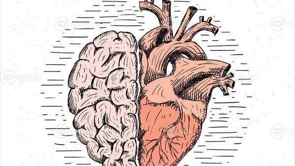 عکس قلب و مغز فانتزی