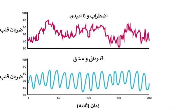 عکس قلب و مغز واقعی