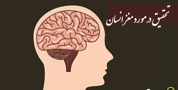 عکس قلب و مغز واقعی