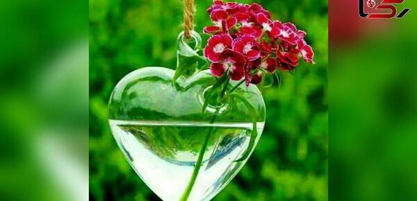 عکس های قلب گل عاشقانه