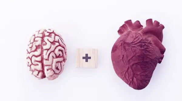 عکس جنگ بین قلب و مغز