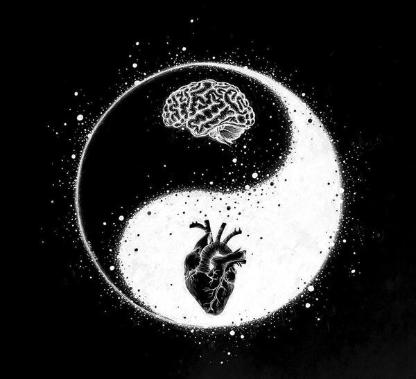 عکس جنگ بین قلب و مغز
