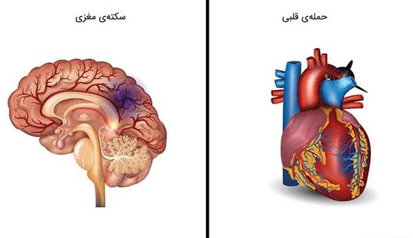 عکس جنگ بین قلب و مغز