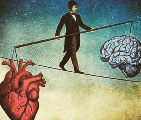 عکس جنگ بین قلب و مغز