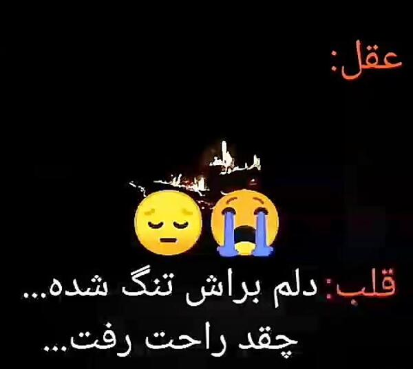 عکس جنگ بین قلب و مغز
