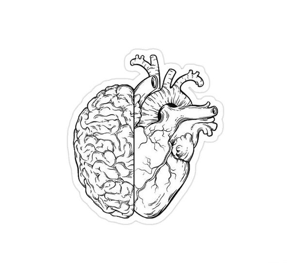عکس جنگ بین قلب و مغز
