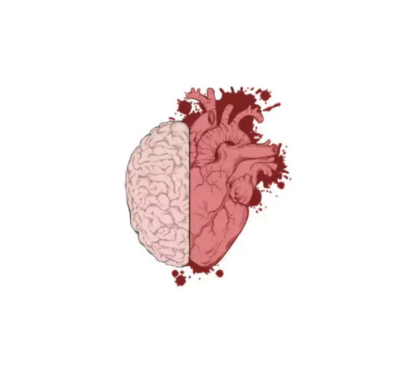 عکس جنگ بین قلب و مغز