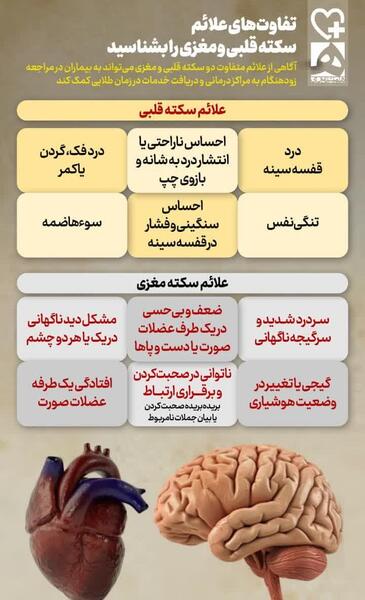عکس جنگ بین قلب و مغز