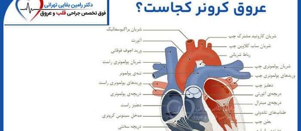 عکس سرخرگ قلب