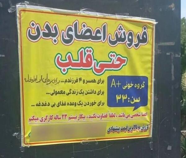عکس قلب اعضای بدن