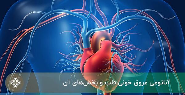 عکس قلب جدا شده