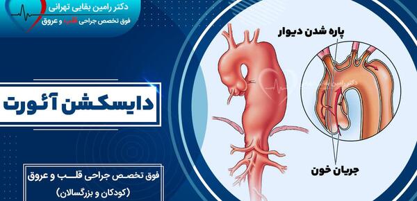 عکس قلب جدا شده