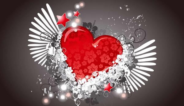 عکس قلب پرنده واقعی