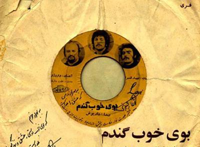 عکس قلب پرنده واقعی