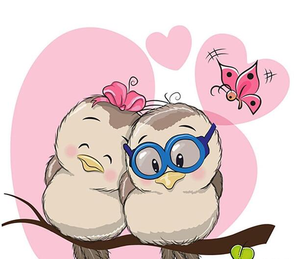 عکس قلب پرنده ها