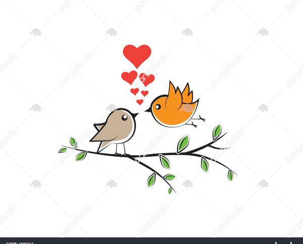 عکس نقاشی قلب پرنده