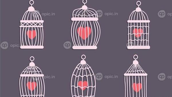 عکس نقاشی قلب پرنده