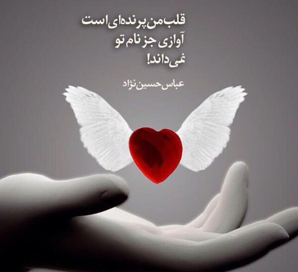 عکس قلب و پرنده