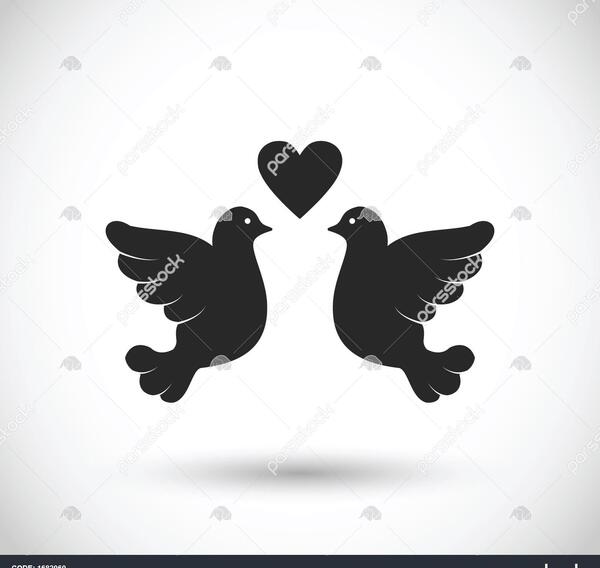 عکس قلب و پرنده