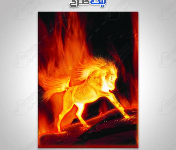 عکس قلب اتشی