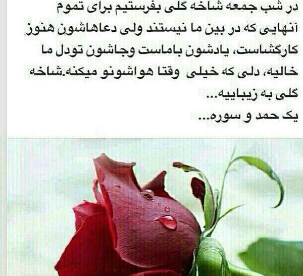 عکس خواندن فاتحه