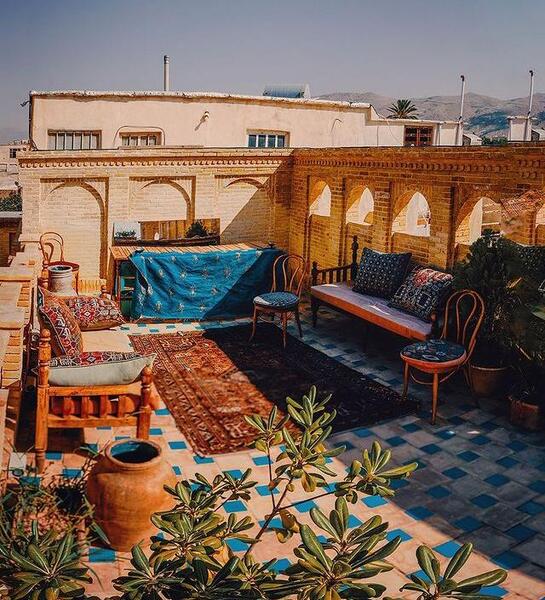 عکس فیل در خانه