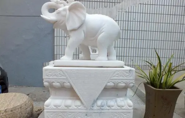 عکس فیل در خانه