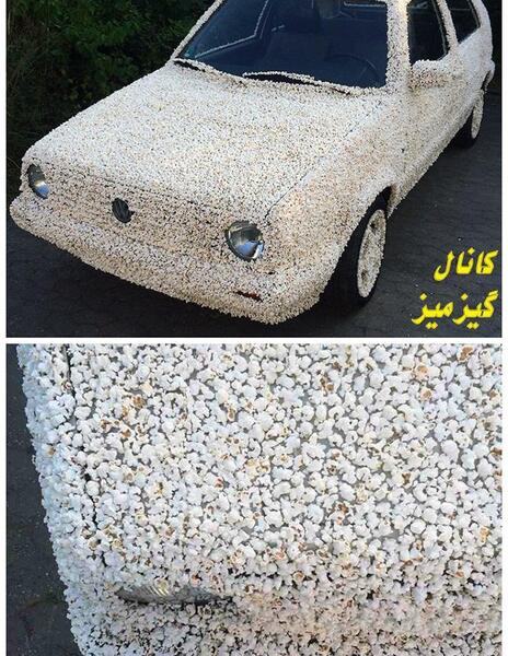 عکس چس و فیل