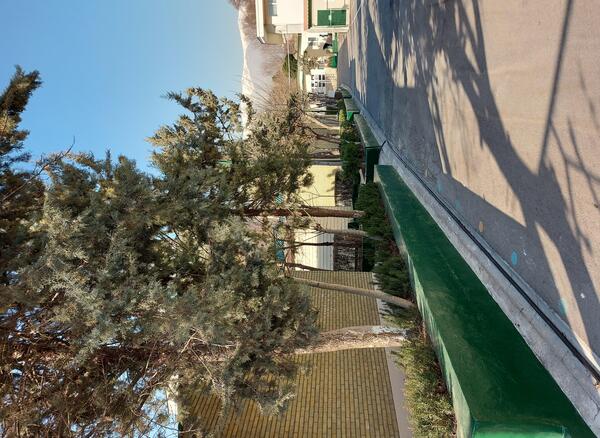 عکس مدرسه های فرانسه