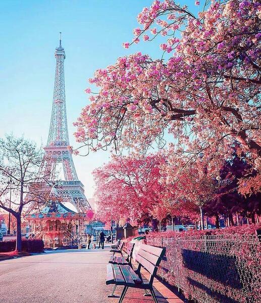 عکس از برج فرانسه