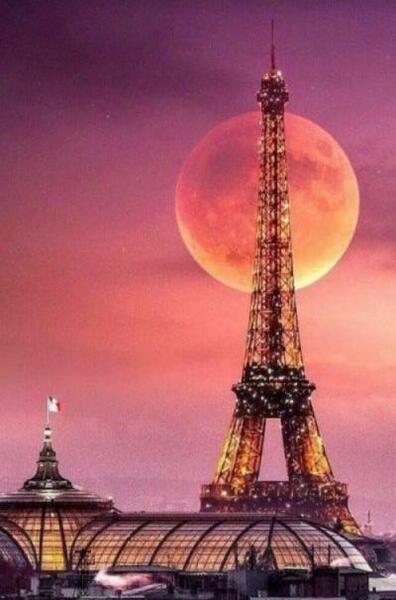 عکس بلیط هواپیما فرانسه