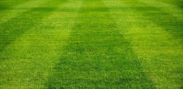 عکس زمین چمن فوتبال از بالا