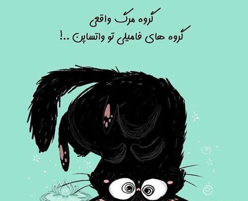 عکس فک و فامیل